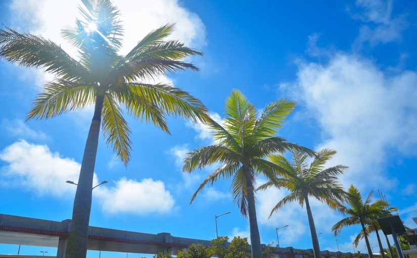 石垣島で冬のフォトウェディング♡最安24,000円で撮影できるPROMO中です！