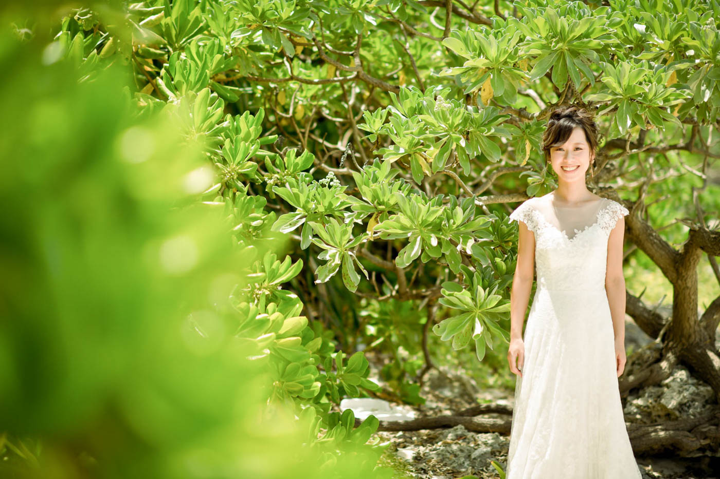 緑が多く自然を背景に撮影できる