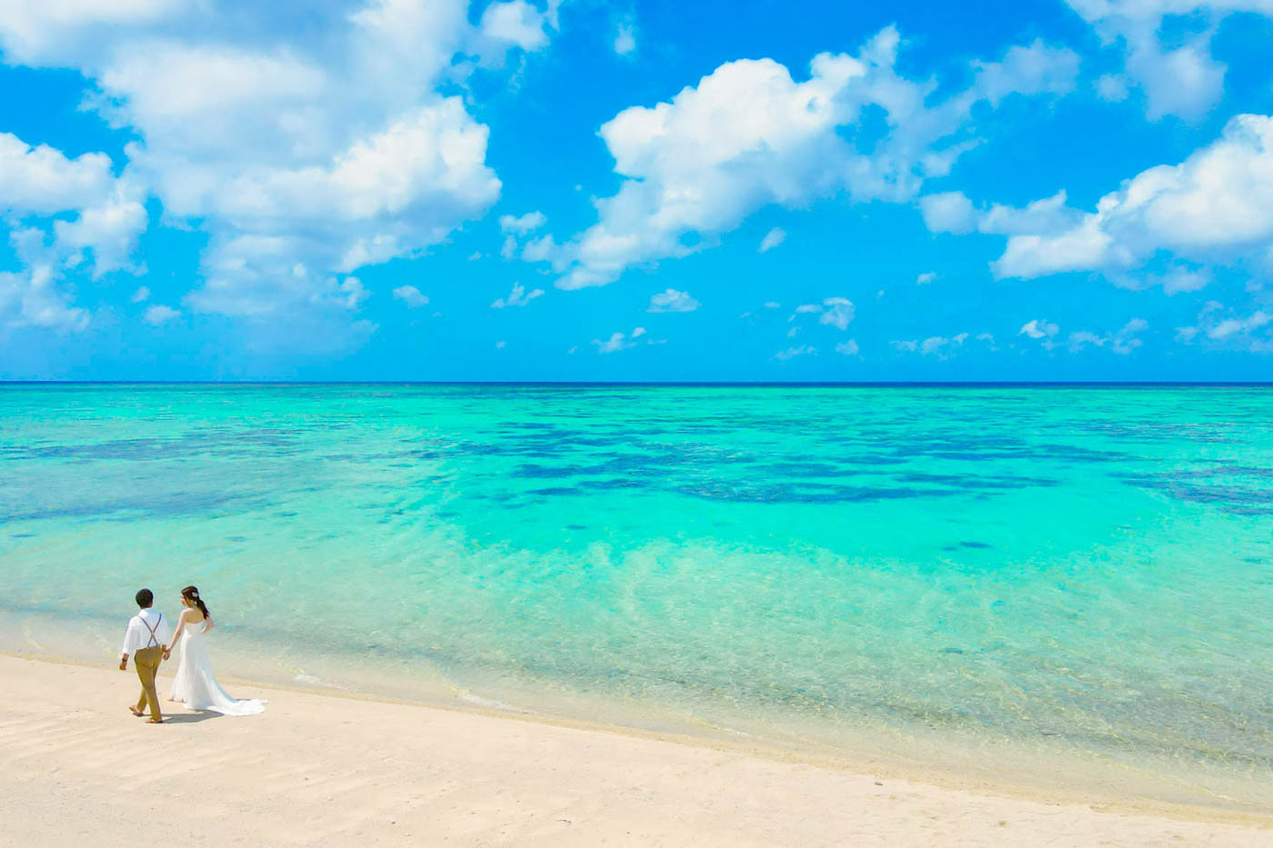 サンゴが広がる透明度の高い海