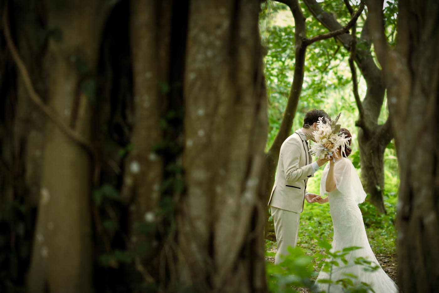 木と木の間から