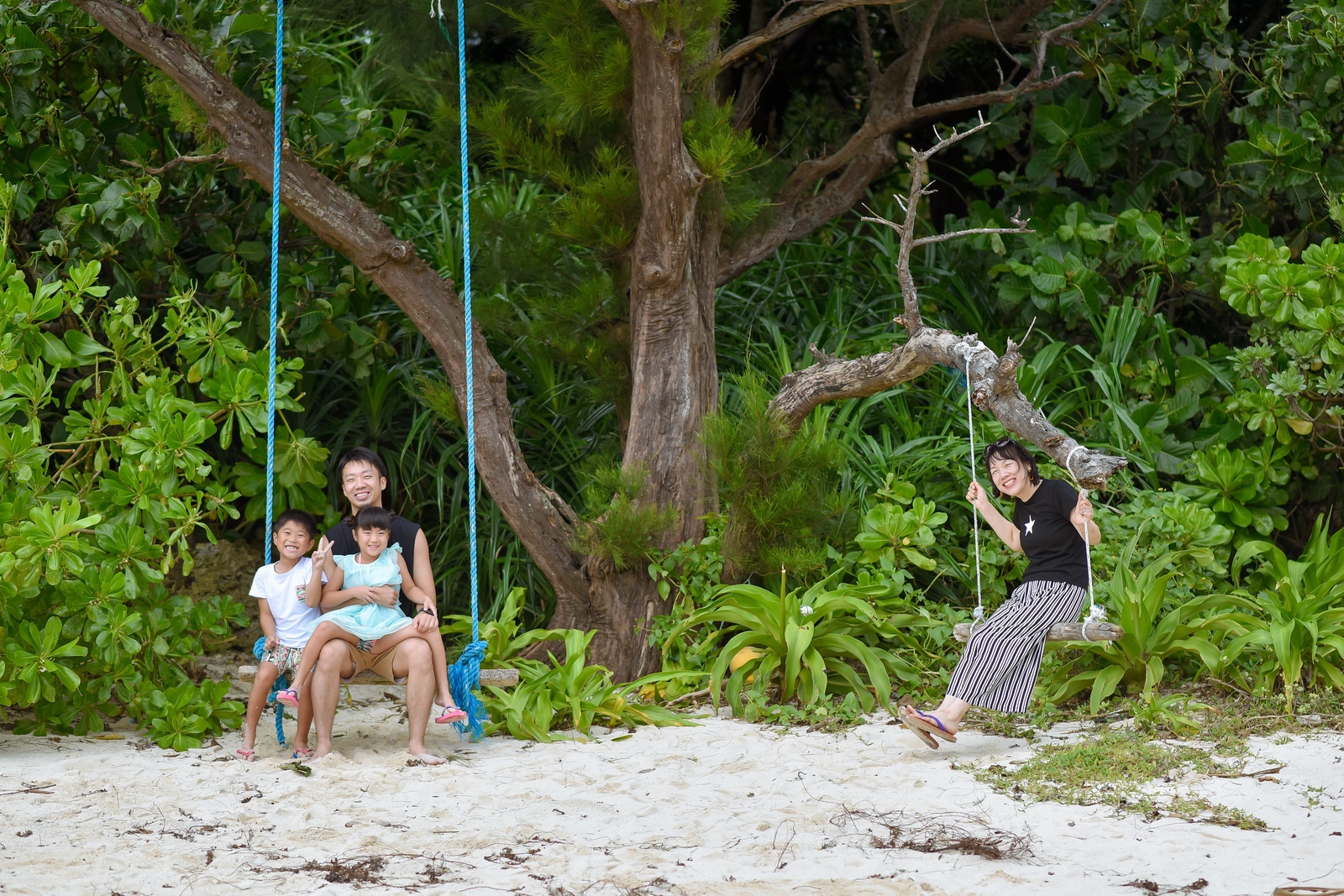 ビーチのブランコに乗って