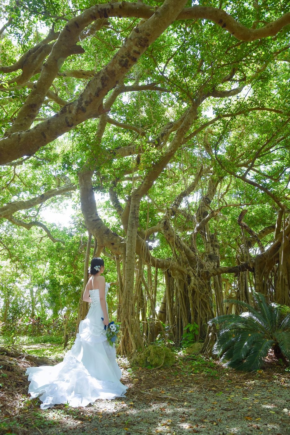 花嫁様の後ろ姿ショット