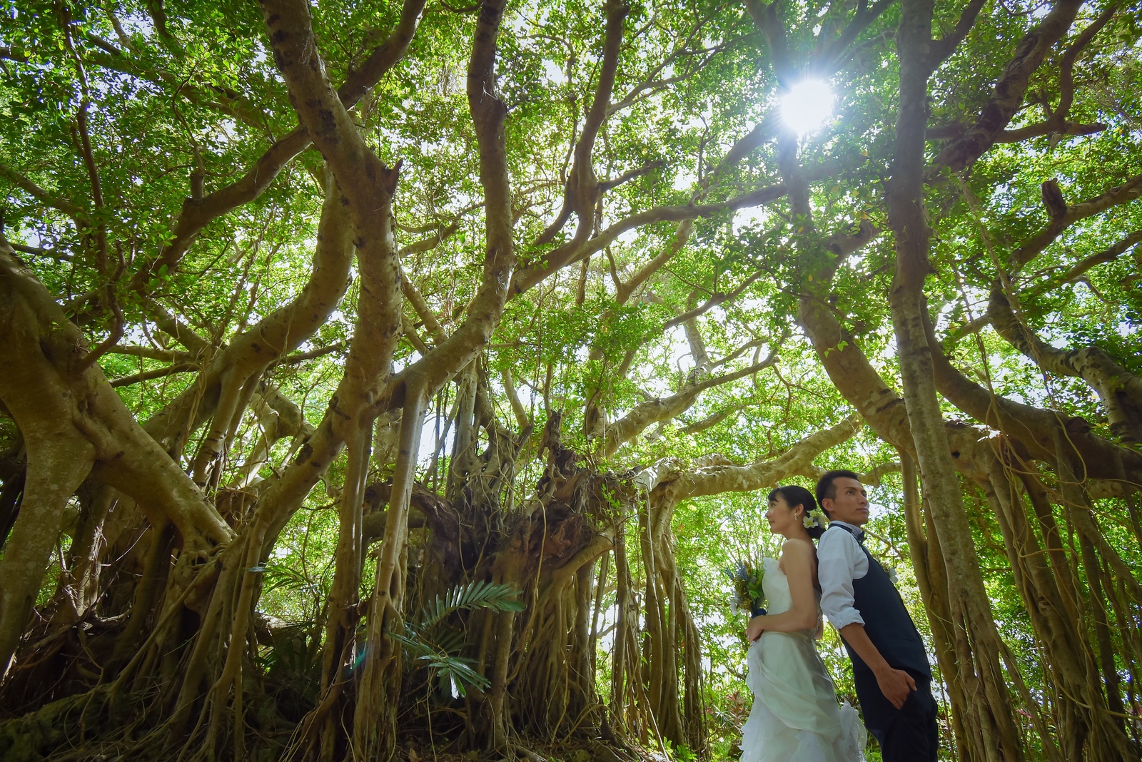 ガジュマルの前で背中合わせに立って