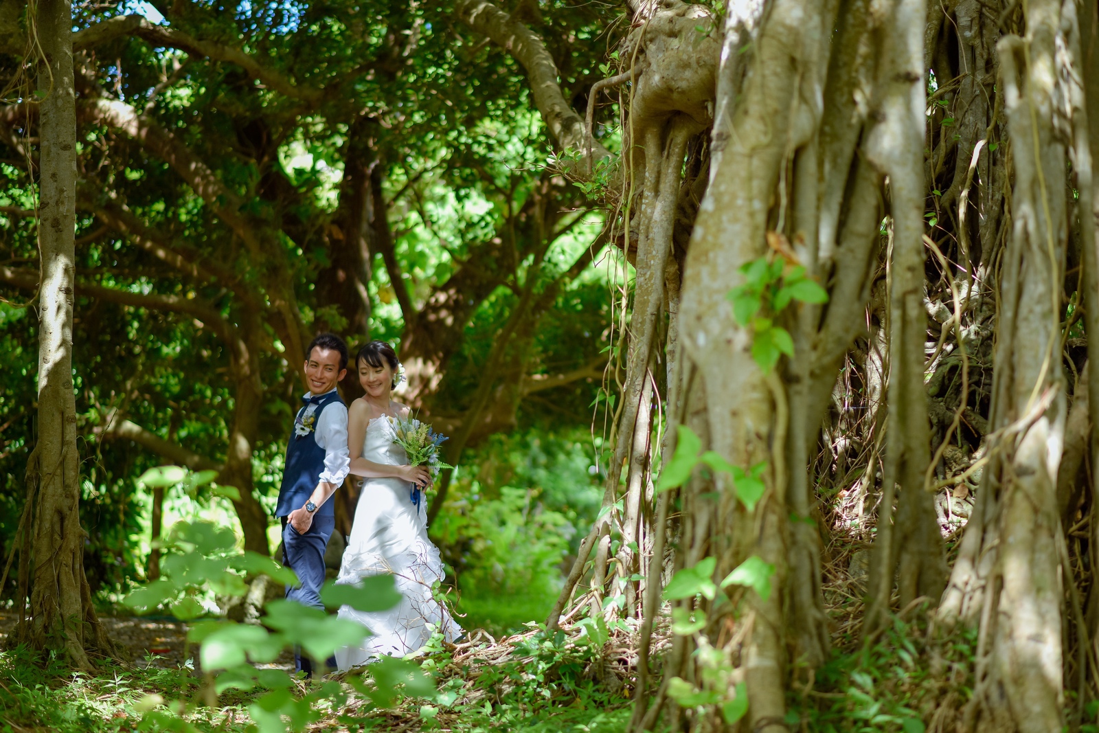 木漏れ日が綺麗です