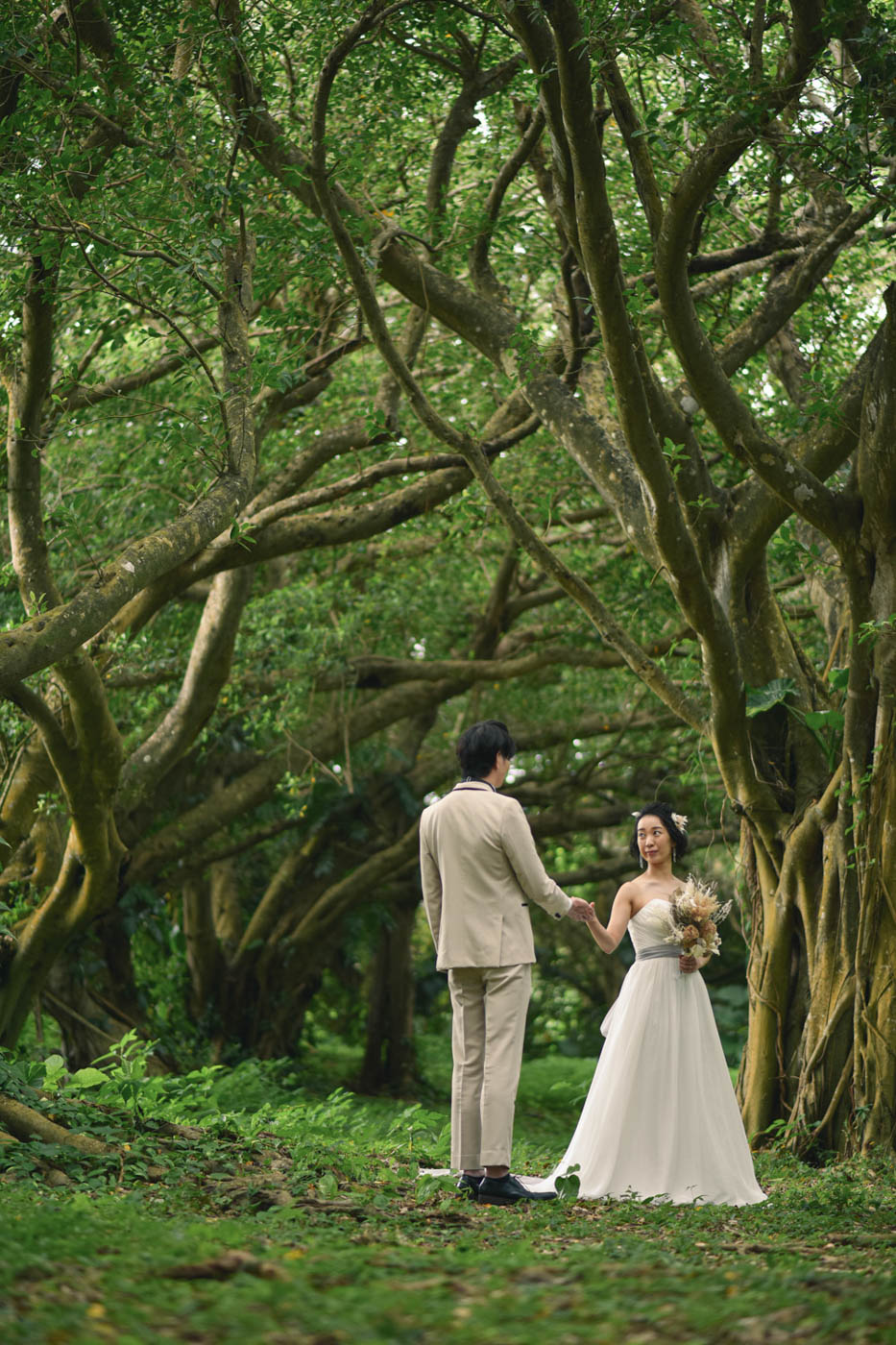 ガジュマルの森