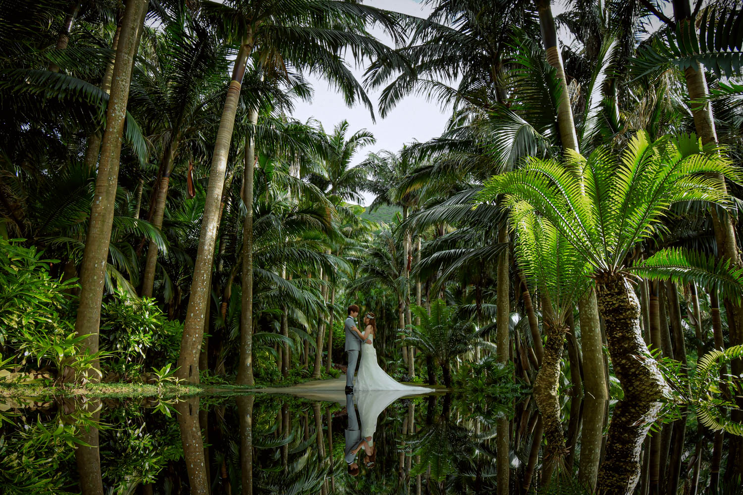 ３ロケーション（ビーチ・ヤシの森・サンセット）撮影プラン Y&E様